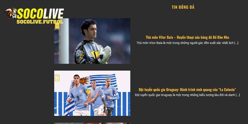 Cung cấp đến người dùng mọi thông tin xoay quanh trận đấu