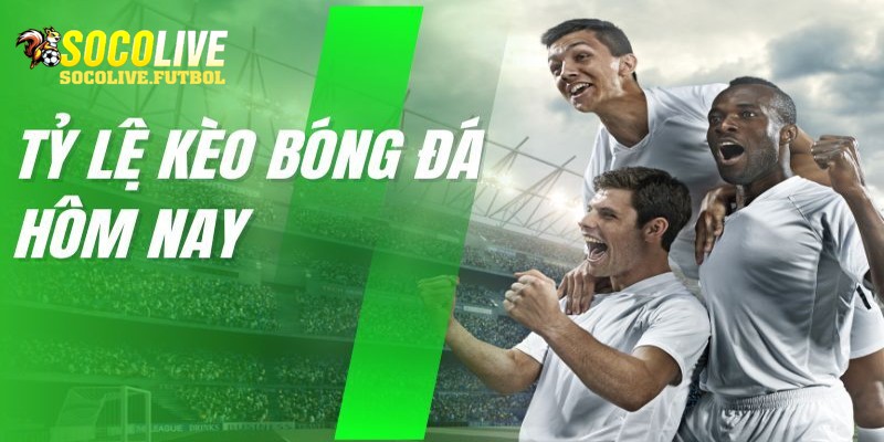 Gợi ý các tỷ lệ cược Handicap thường xuất hiện trên bảng kèo