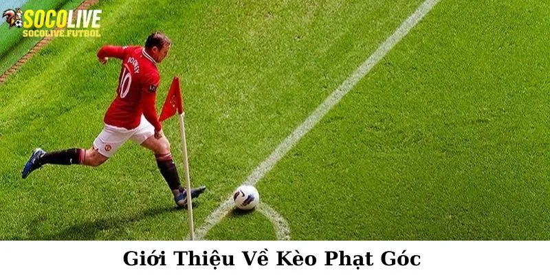 Khám phá thông tin về thể loại kèo phạt góc