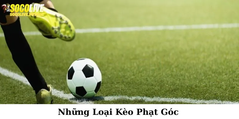 Liệt kê một vài thể loại có trong kèo phạt góc