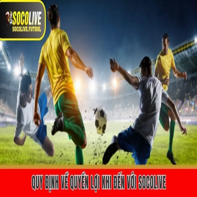 Quy định về quyền lợi khi đến với Socolive