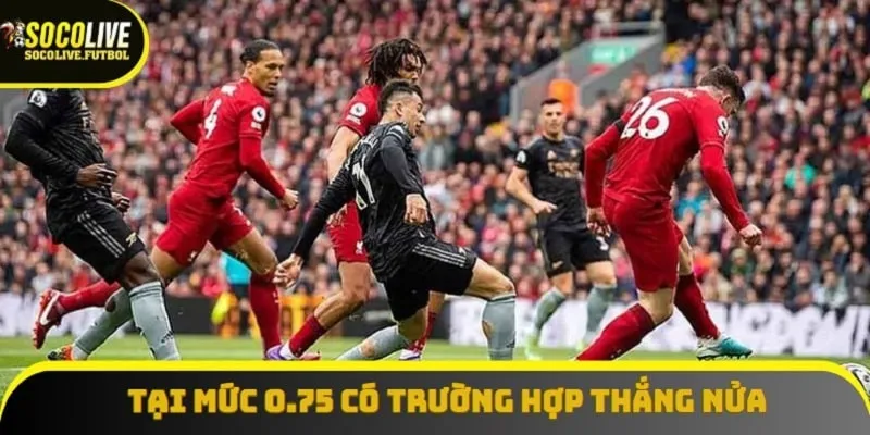 Tại mức 0.75 có trường hợp thắng nửa