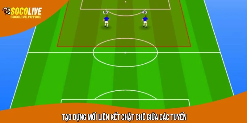 Tạo dựng mối liên kết chặt chẽ giữa các tuyến