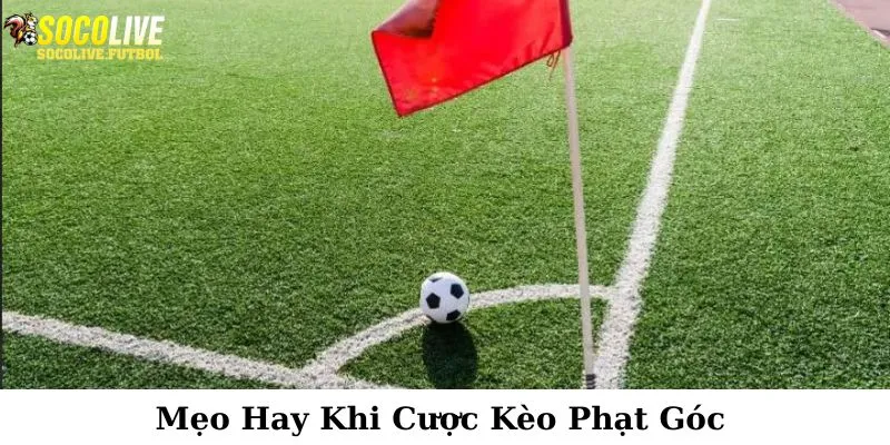 Thống kê các bí quyết hay khi bắt kèo phạt góc
