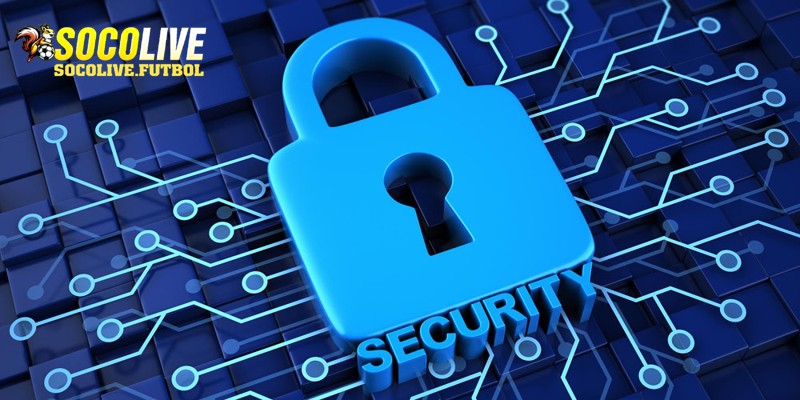 Thu thập dữ liệu qua các công cụ nhằm cải thiện chất lượng