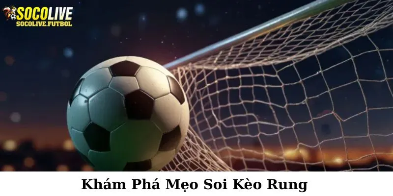 Tổng hợp một vài bí quyết hay nên dùng khi soi kèo rung