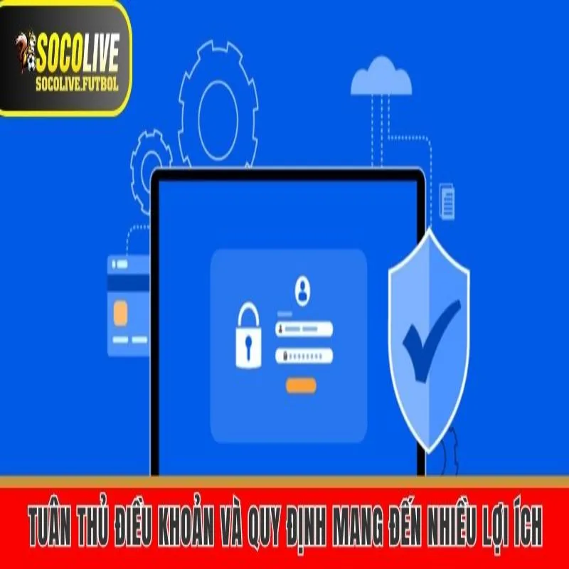 Tuân thủ điều khoản và quy định mang đến nhiều lợi ích